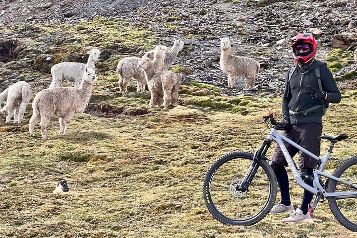 Enduro Mountain Biking in the Sacred Valley: Lares Downhill Adventure photo 2