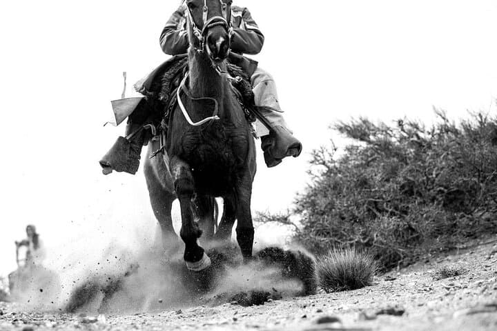 Andes Cabalgata: Full-Day Horseback Riding and Asado near Mendoza photo 2