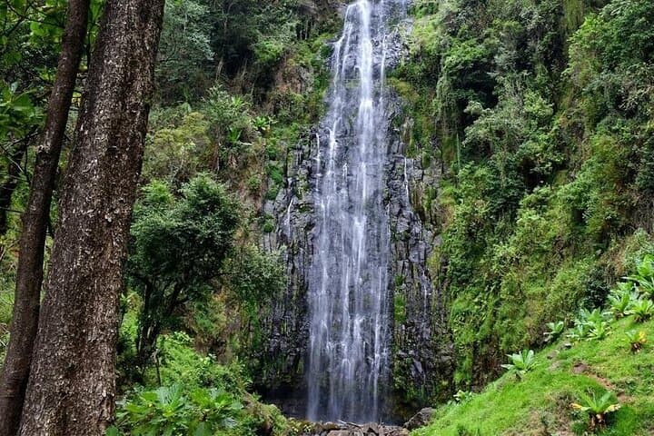 Materuni Waterfalls, Kikuletwa Hot Springs & Coffee Tasting Day Tour from Arusha photo 3
