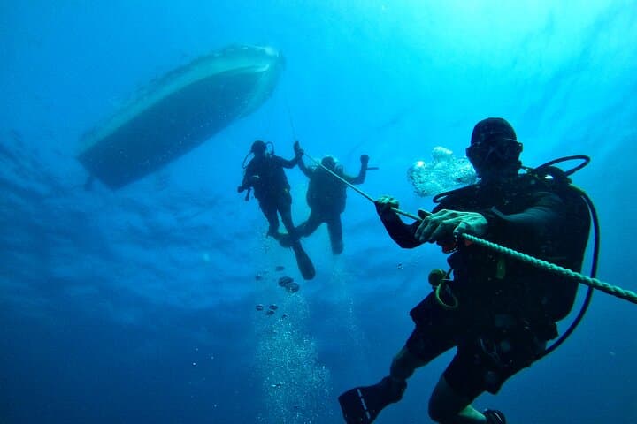 Shipwreck Diving in Colombo: Explore WWII Wrecks & Coral Gardens