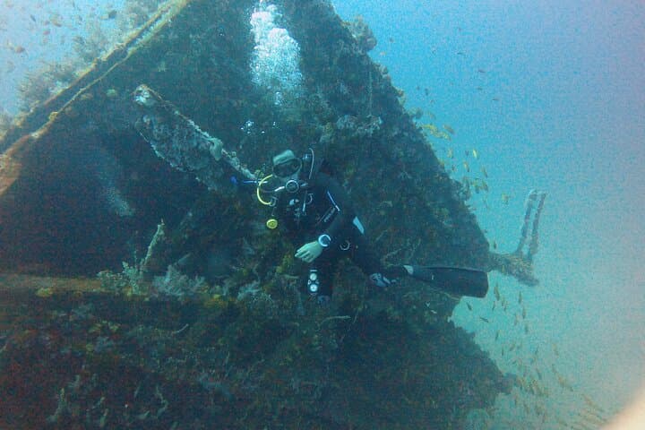 Shipwreck Diving in Colombo: Explore WWII Wrecks & Coral Gardens photo 6
