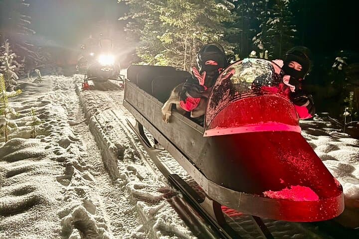 Lapland Northern Lights Sleigh Ride: Snowmobile-Pulled Aurora Tour near Rovaniemi photo 1