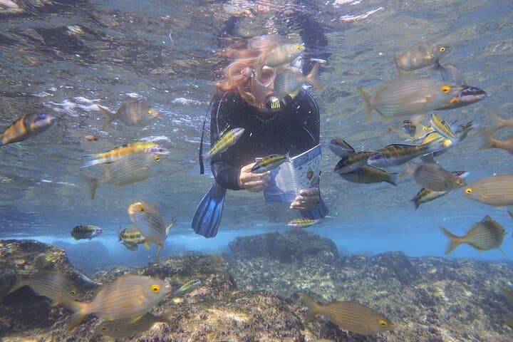 Stand-Up Paddle and Snorkel Lesson in Playa Blanca, Lanzarote photo 5