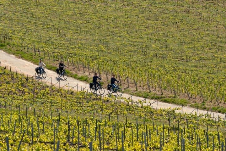 Reims E‑Bike Tour Through Montagne de Reims with Champagne Tastings photo 4