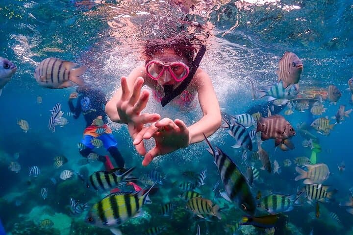 Nemo Island Speedboat Snorkel: Samae San Reef Day Trip from Pattaya