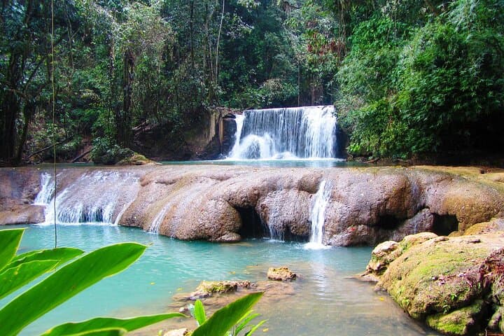 Black River Safari and Y.S. Falls Combo: Crocodiles, Waterfalls & Zipline in Jamaica