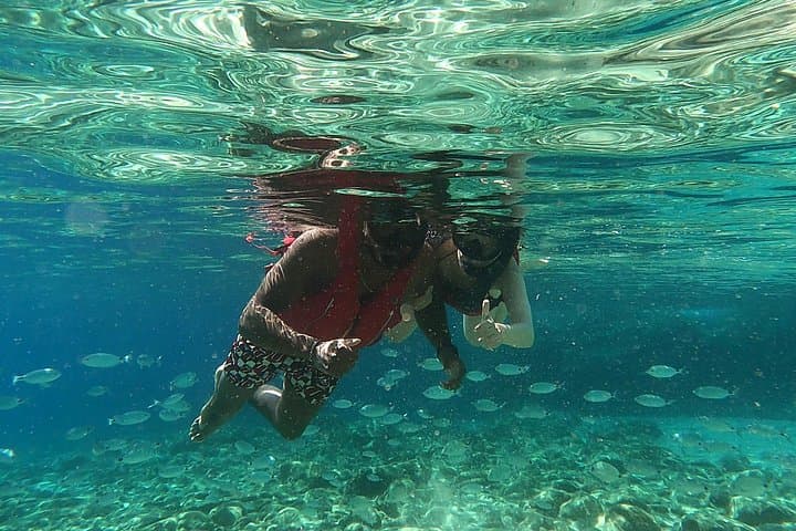 Panormos Bay Snorkel: Private 1-Hour Guided Aegean Adventure with GoPro Photos photo 4
