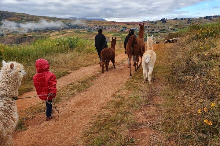 Hike with Llamas and Textile Workshop in Chinchero — Andean Colors Experience photo 3