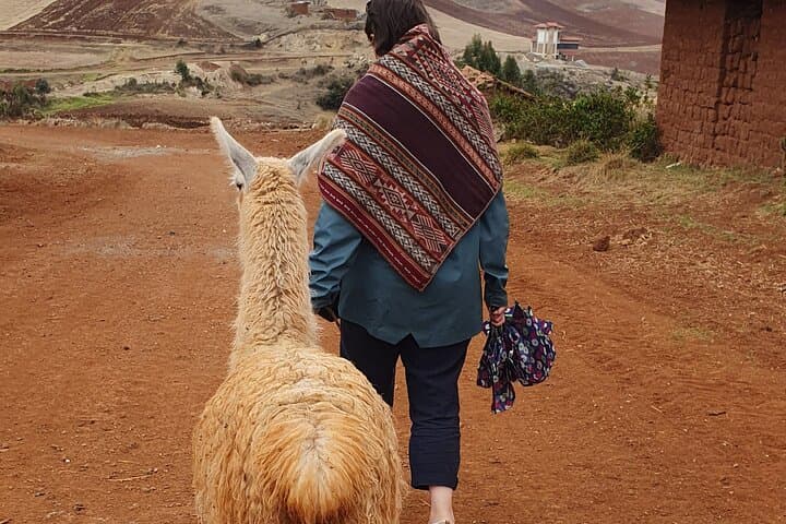 Hike with Llamas and Textile Workshop in Chinchero — Andean Colors Experience photo 5