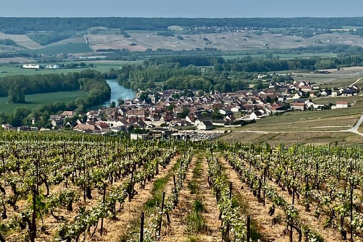 Moët & Chandon Private Lunch & Cellar Tour: Champagne Day Trip from Paris photo 6