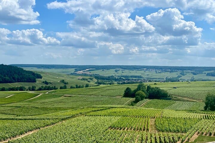 Moët & Chandon Private Lunch & Cellar Tour: Champagne Day Trip from Paris photo 5