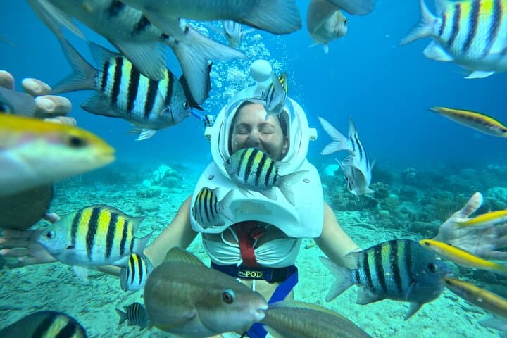 Sea TREK Curaçao — Walk the Ocean Floor Without Swimming photo 5