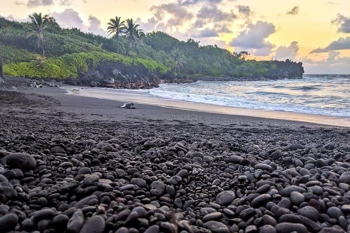 Private Luxury Hana Tour in 7-Passenger SUV — Road to Hana with a Local Guide photo 6