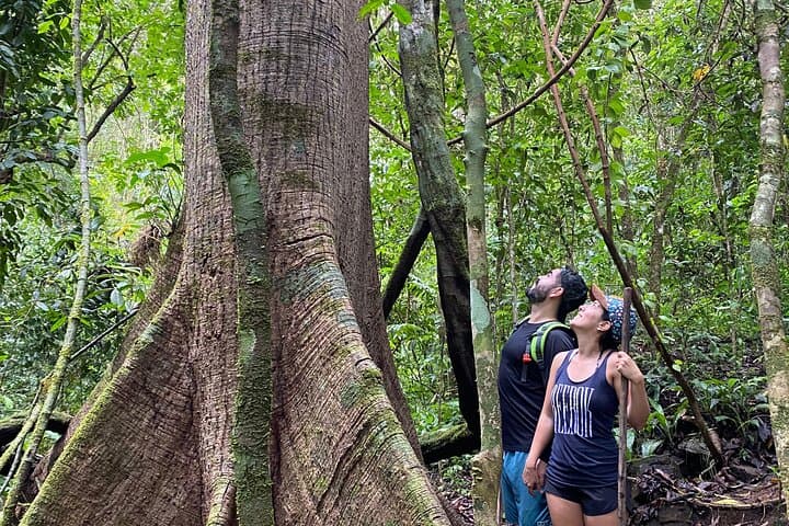 Self-Guided Day Pass to Hacienda Ébano — Rainforest Trails & Waterfalls near San José photo 2