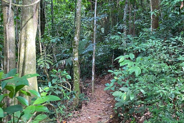 Self-Guided Day Pass to Hacienda Ébano — Rainforest Trails & Waterfalls near San José photo 4