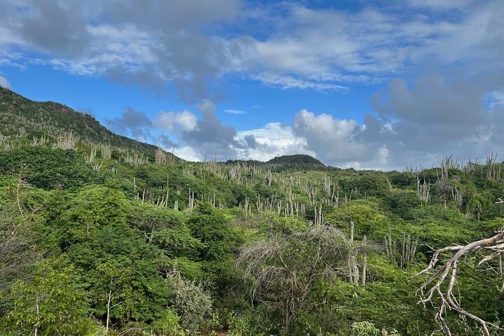 Hike Goto Meer Flamingo Trail — Guided North Bonaire Nature Walk photo 3