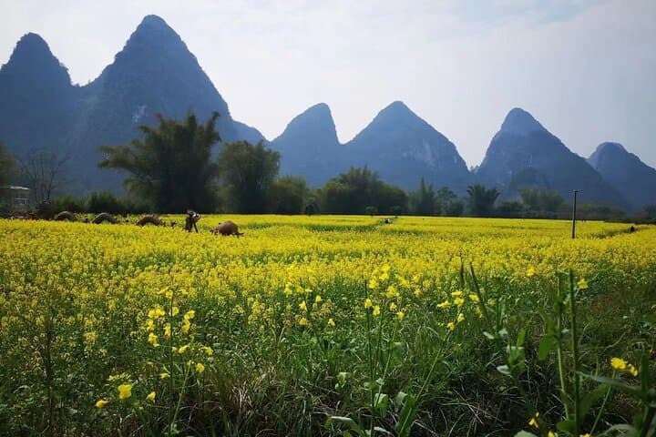Yangshuo Silver Cave & Ruyi Peak Private Day Tour — Cave Walk, Cable Car & Glass Bridge photo 3