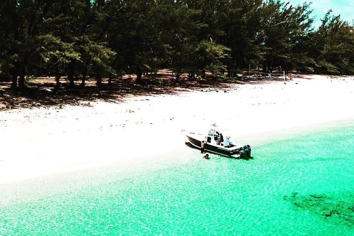 Swim with Nassau's Turtles and Pigs — Beach Day Excursion photo 2