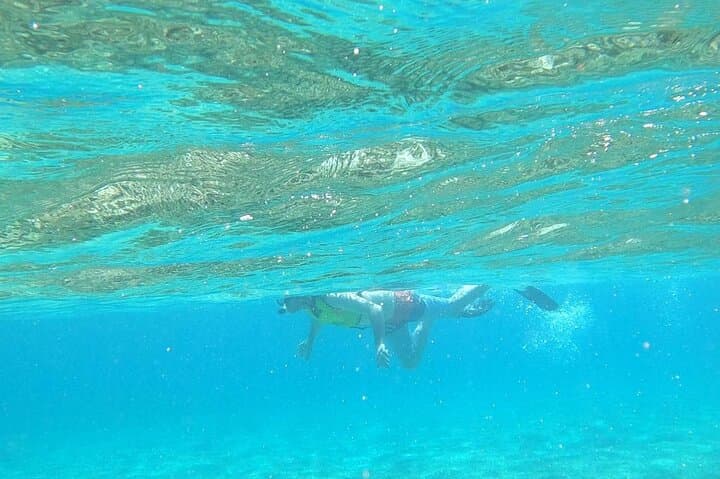 Swim with Nassau's Turtles and Pigs — Beach Day Excursion photo 5