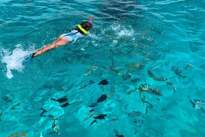 Swim with Nassau's Turtles and Pigs — Beach Day Excursion photo 6