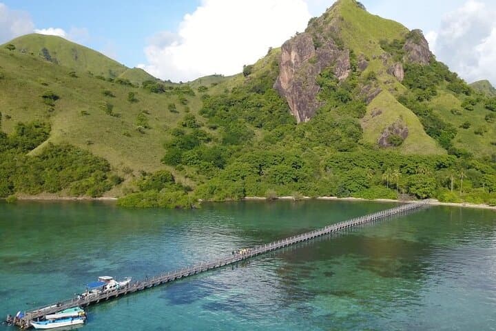 Komodo National Park One-Day Fast-Boat Tour from Labuan Bajo photo 5