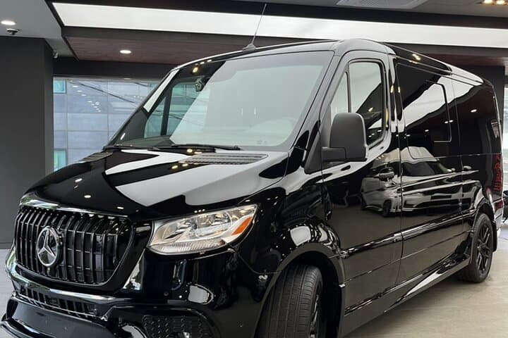 Customizable Private Seoul Tour in Luxury Van — VIP Full-Day Seoul Highlights photo 4