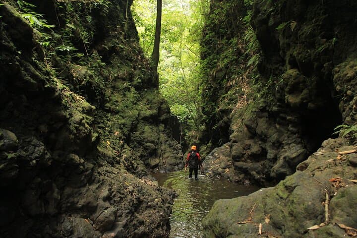 Springs Canyon Canyoning: Full-Day Adventure in North Bali photo 5