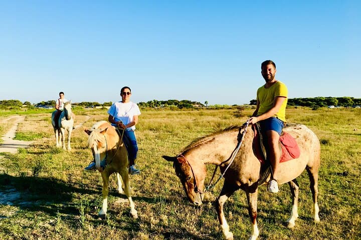 Horseback Ride in Salento Nature Reserve: Beach Trail from Lecce photo 4