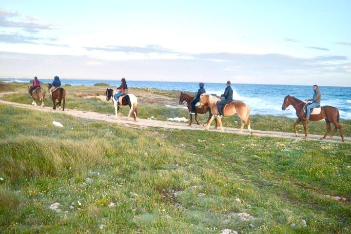 Horseback Ride in Salento Nature Reserve: Beach Trail from Lecce photo 5