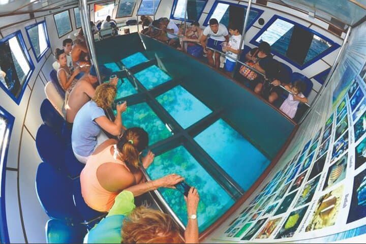 Private Beach Access, Barbecue Lunch & Glass-Bottom Boat in Aqaba photo 4