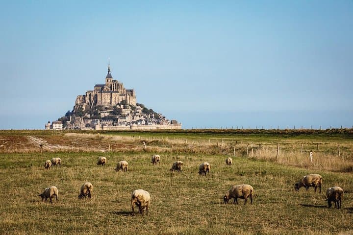 E-Bike Day Trip to Mont Saint-Michel — Private Guided Ride from Bayeux photo 4