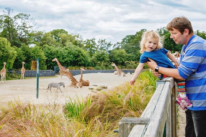 Dublin Zoo Skip-the-Line Tickets with Private Transfers from Dublin photo 2