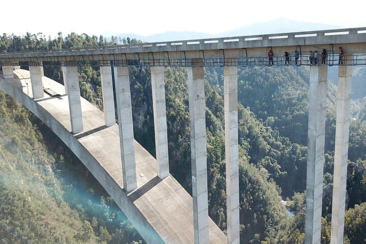 Bloukrans Skywalk Tour and HangOut Zone — Bridge Walk on the Garden Route photo 3