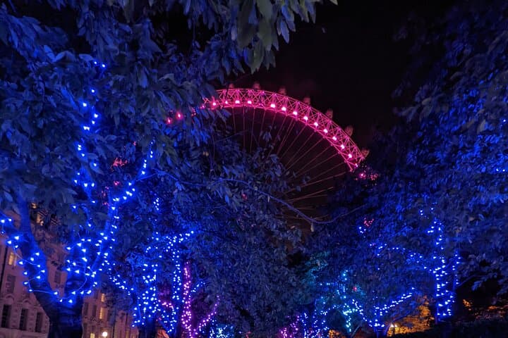 Private London Night Tour with Hotel Pickup — Panoramic City Drive photo 6