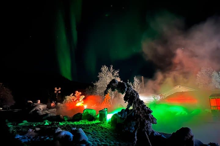 Chena Hot Springs Round-Trip from Fairbanks: Aurora, Hot Springs & Wilderness Drive photo 2