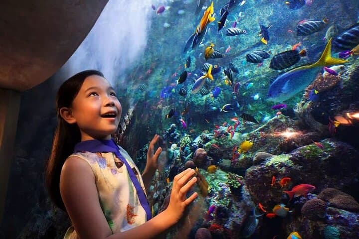 Lost Chambers Aquarium at Atlantis Dubai: Visitor Guide & Tips photo 2