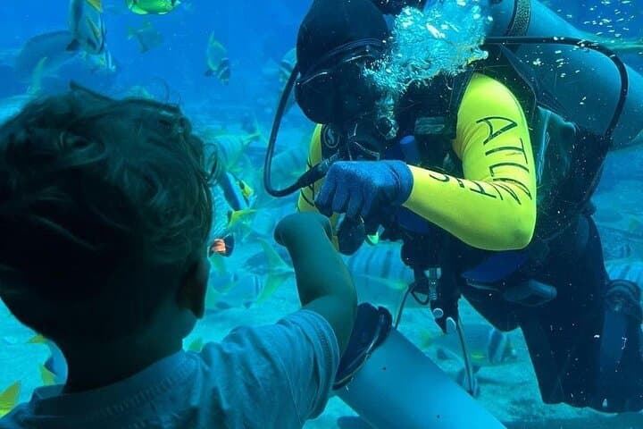 Lost Chambers Aquarium at Atlantis Dubai: Visitor Guide & Tips photo 3