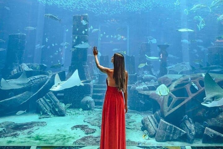 Lost Chambers Aquarium at Atlantis Dubai: Visitor Guide & Tips photo 4