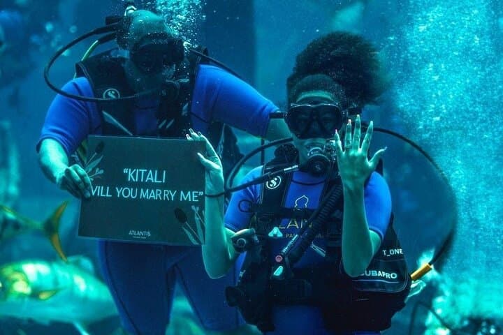 Lost Chambers Aquarium at Atlantis Dubai: Visitor Guide & Tips photo 5