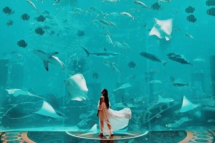 Lost Chambers Aquarium at Atlantis Dubai: Visitor Guide & Tips photo 6