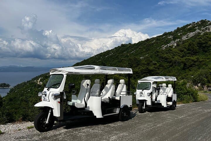 Mljet National Park Quick Private e-Tuk & Boat Tour — St. Mary Island and Lakes photo 3