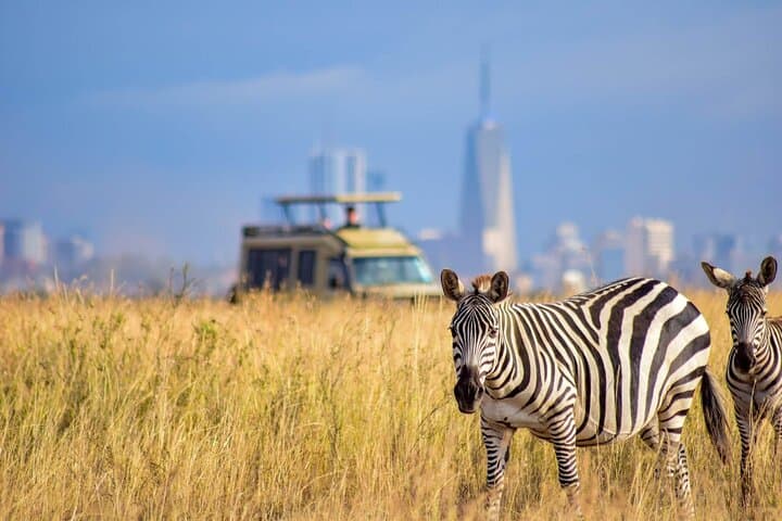 Inside Nairobi National Park: Urban Safari and Giraffe Conservation Experience photo 5