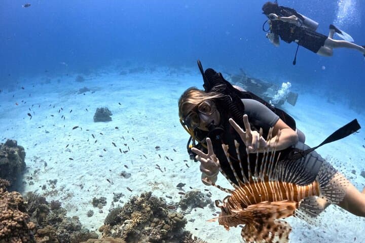 Intro Scuba Diving in Hurghada: Discover the Red Sea's Coral Gardens photo 6