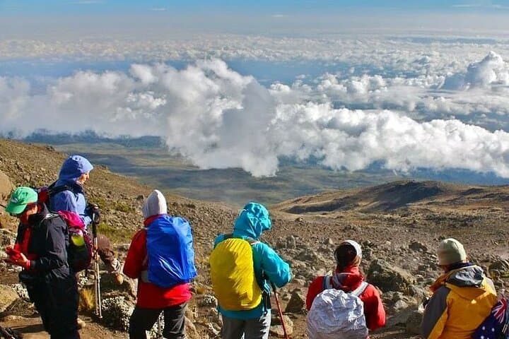 6-Day Machame Route Trek to Uhuru Peak — Private Kilimanjaro Summit