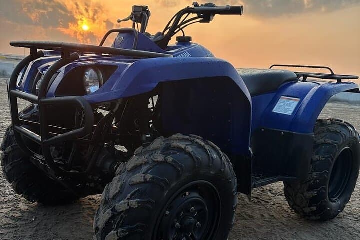 Doha Half-Day Desert Safari: Quad Bike ATV, Dune Bashing & Camel Ride photo 6