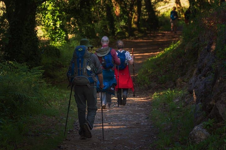 Portuguese Camino: Tui to Santiago — 8-Day Guided Walking Pilgrimage photo 2