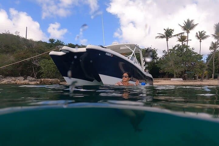 Full-Day Private Boat Charter Around St. John & St. Thomas — Snorkel With Sea Turtles photo 5