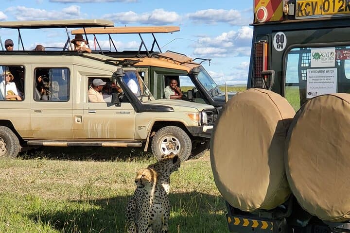 11-Day Private Kenya Safari: Explore Amboseli, Samburu & Masai Mara photo 3