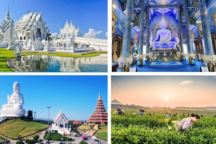 Chiang Rai Day Tour: White Temple, Blue Temple, Big Buddha & Singha Tea Plantation