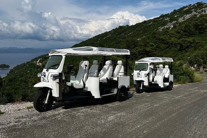 E-Tuk Tour in Mljet National Park — Lakes, Roman Ruins & St. Mary Island photo 6